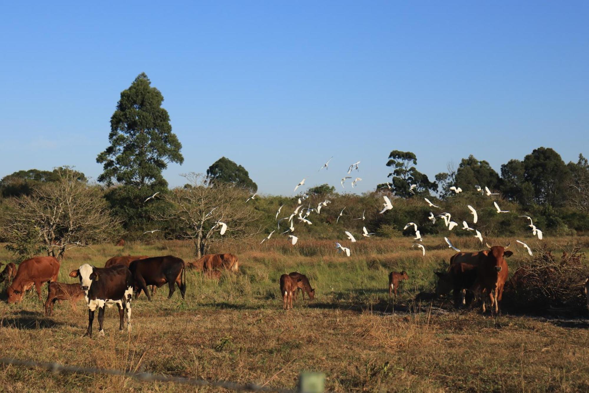 Mabuda Guest Farm Siteki Ngoại thất bức ảnh